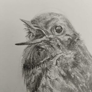 FB_IMG_1677377999152