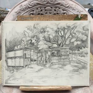 508049914_1651571292451169_6016104840550690204_n