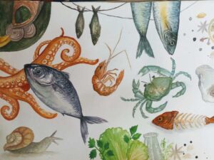 576170860_1183284337051870_3293468106454985681_n