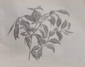 IMG-20260427-WA0000